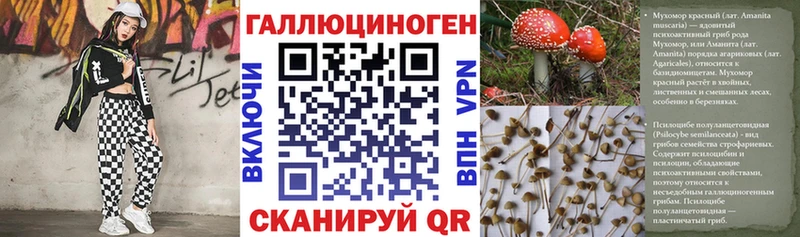 Купить  Ворсма  Галлюциногенные грибы Psilocybine cubensis 
